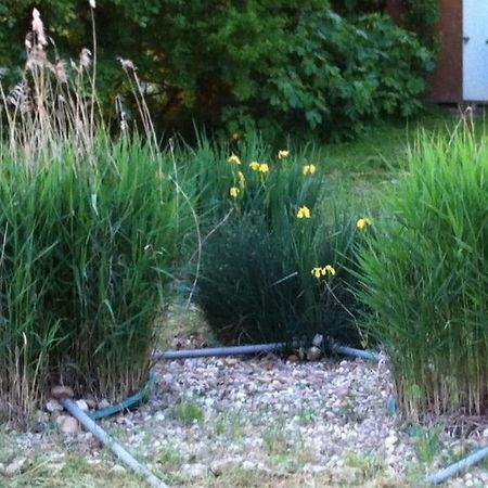 Appartement Neuf & Ecologique A La Campagne Marzens Екстериор снимка