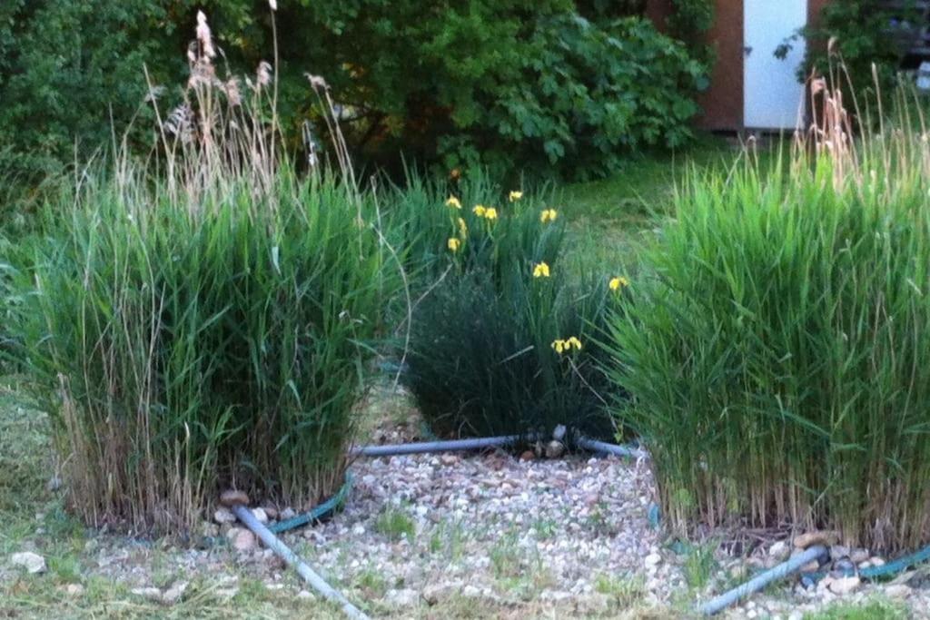 Appartement Neuf & Ecologique A La Campagne Marzens Екстериор снимка